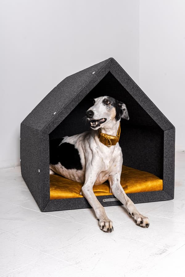 Rexproduct Pethome 2.0 moderne økologisk hundegård lysegrå med farverig madras