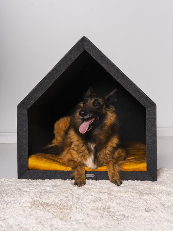 Rexproduct Pethome 2.0 moderne økologisk hundegård lysegrå med farverig madras