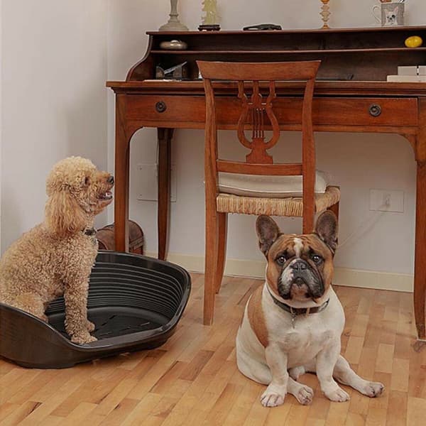 Hund Bed Ferplast Siesta Deluxe 6 Sort 70,5 x 52 x 23,5 cm