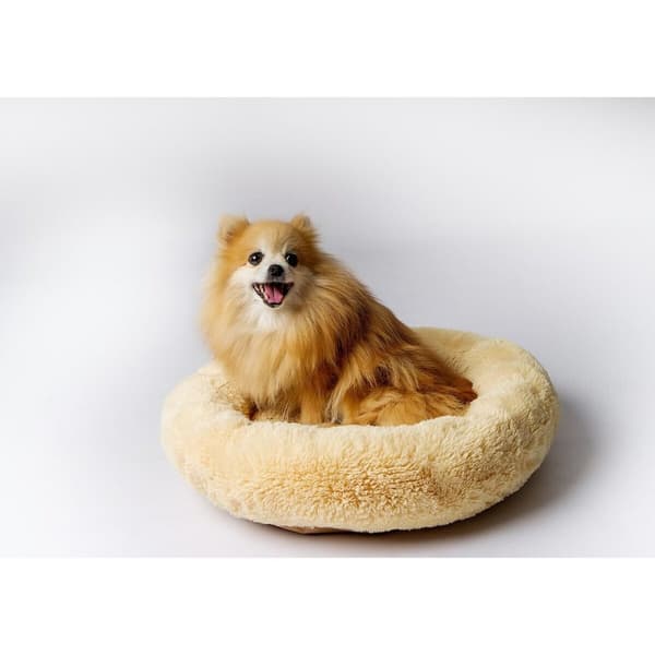Koiran peti GO GIFT M 50 x 10 x 57 cm