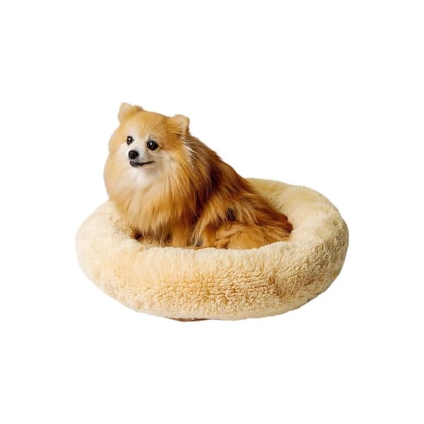 Hundeseng GO GIFT M 50 x 10 x 57 cm