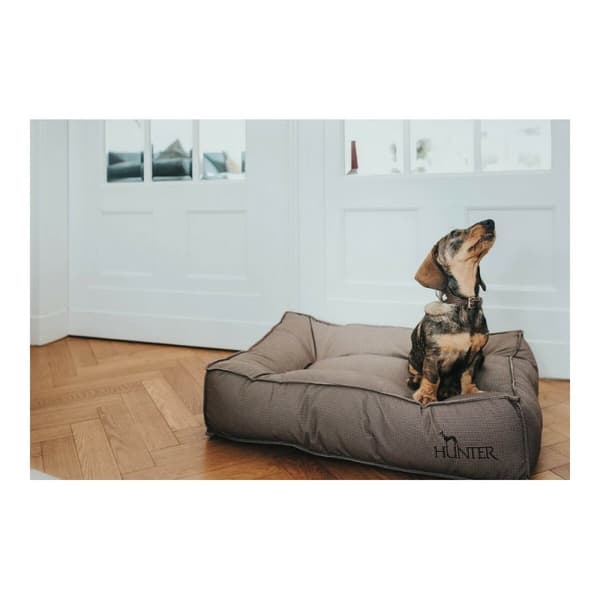 Hund Bed Hunter Lancaster Brun 80x60 cm