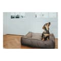 Miniatyrbillede 3 af 5: Hund Bed Hunter Lancaster Brun 80x60 cm