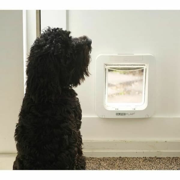 Kattlucka SureFlap SUR101 17,8 x 17 cm