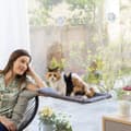 Miniatyrbilde 2 av 9: Hengekøye Hengekøye Catlax InnovaGoods