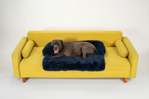 Hundeseng til sofa PJ-022 Marineblå L