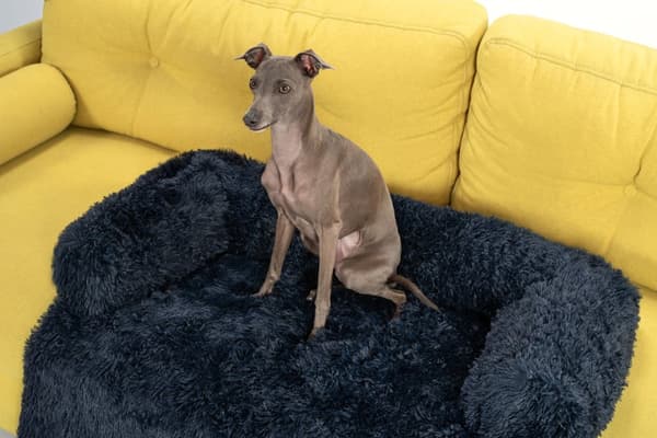 Hundeseng til sofa PJ-021 Marineblå M