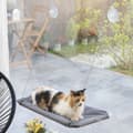 Pikkukuva 1 / 9: Kissan riippumatto Catlax InnovaGoods