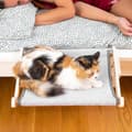 Miniatyrbillede 6 af 11: Hængende kat hængekøje Hamacat InnovaGoods