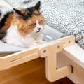 Miniatyrbillede 7 af 11: Hængende kat hængekøje Hamacat InnovaGoods