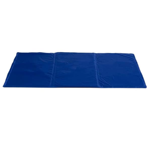 Koiran matto Virkistävä Sininen Vaahto Geeli 49,5 x 1 x 90 cm (6 osaa)