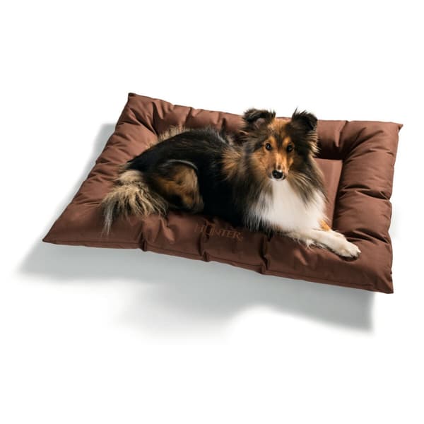 Koiran peti Hunter Gent Anti-bakteerinen Ruskea 100x70 cm
