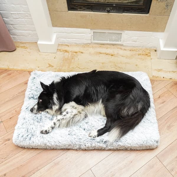 Hundeseng mellemstore små hunde - hundepude rund hundekurv fluffy hundekurv