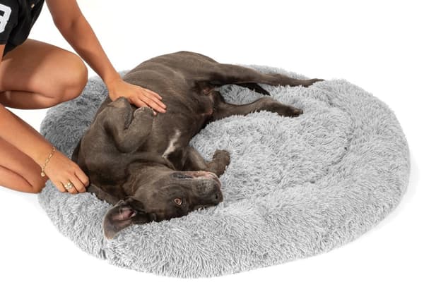 SÄNGAR FÖR HUSDJUR PJ-014 100CM LIGHT GREY