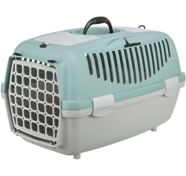 Capri 2 transport box, XS–S: 37 × 34 × 55 cm, light grey sage