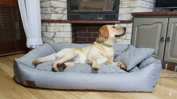 XXL Vandtæt Hundeseng 120x90cm - Høj Elastictet, Maskinvaskbar, Anti-Slip Bund til Store Hunde
