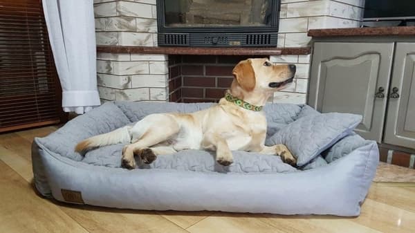 Holdbar 120x90 cm vandtæt hundeseng med anti-slip bund og vaskebar betræk