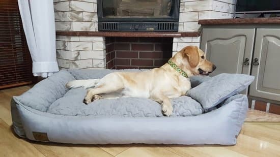 XXL Vaskbar Vandtæt Hundeseng 120x90cm - Høj Elastictet, Holdbar & Nem Vedligeholdelse