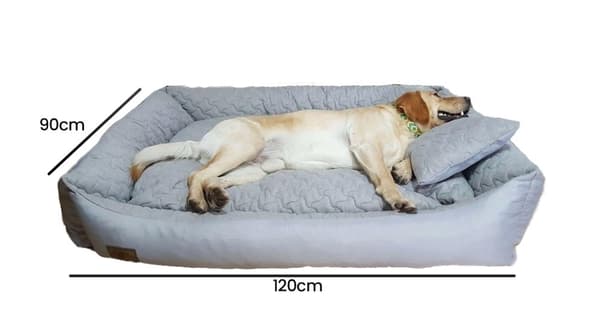 XXL Vandtæt Hundeseng 120x90cm - Nem Vask, Anti-Slip, Holdbar Komfort til Hunde