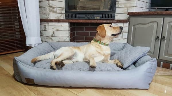 XXL Vandtæt Hundeseng 120x90cm - Komfort & Sikkerhed til Din Kæledyr