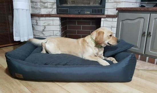 Vaskbar Vandtæt Hundeseng 120x90cm - Nem Rengøring, Holdbar & Komfortabel
