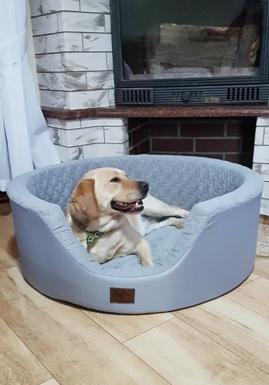 XXL Grå Vaskbar Hundeseng til Store Hunde, 90 cm Diameter, Anti-Allergen Polyester