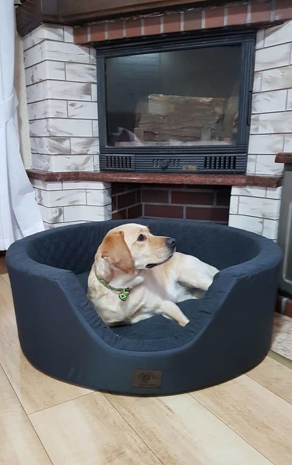 Luksus Anti-Allergi Hundeseng 90cm - Vaskebar Betræk & Aftagelig Pude