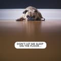Miniatyrbillede 8 af 8: Hundeseng E-Doggy Comfy Aflang Ecru