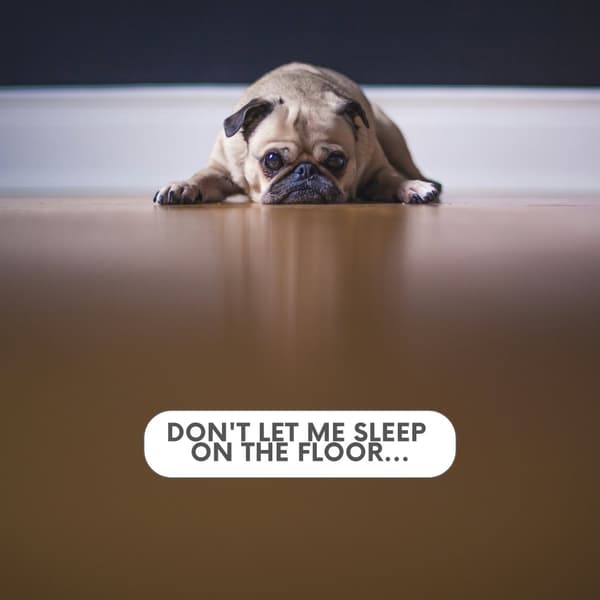 Hundeseng E-Doggy Comfy Aflang Ecru