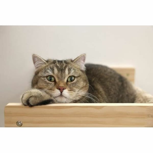 Kattsäng Kerbl TIMBER Beige