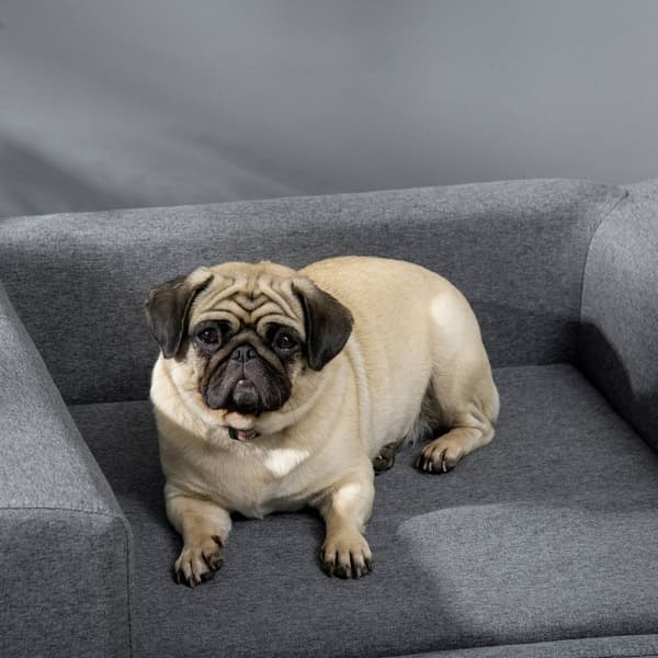 Rootz Dog -sohvakissan sohva - Pet -sohva - eläinsohva - Fluffy Cushion Comfort - Skandinavian muotoilu, 87,5 cm x 61cm x 36cm
