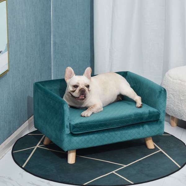 Rootz Pet Sofa Bed - Dog Sofa - Cat Bed - Fluffy Pushion - Skandinavisk design - 64 x 45 x 36 cm - Velour Blue