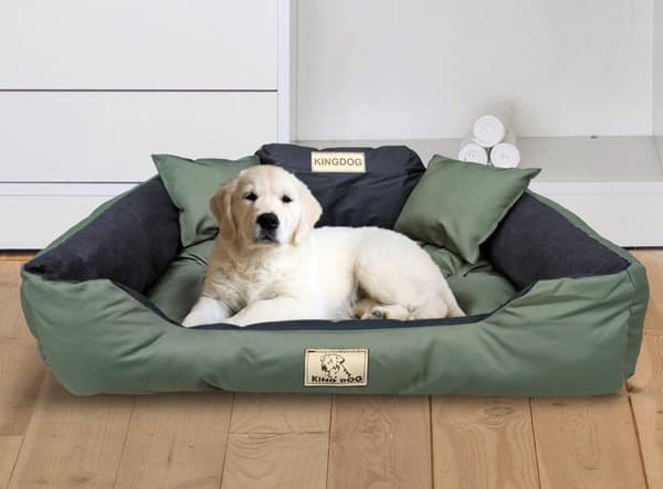 Hundeseng KINGDOG 100x75 cm personlig vandtæt grøn
