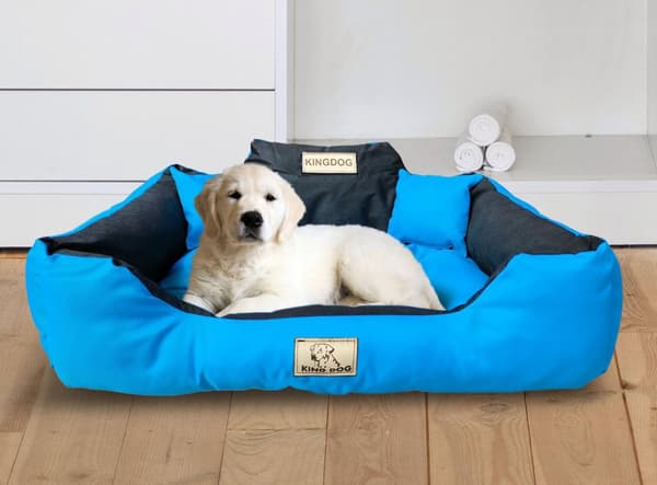 Hundeseng KINGDOG 100x75 cm personlig vandtæt blå