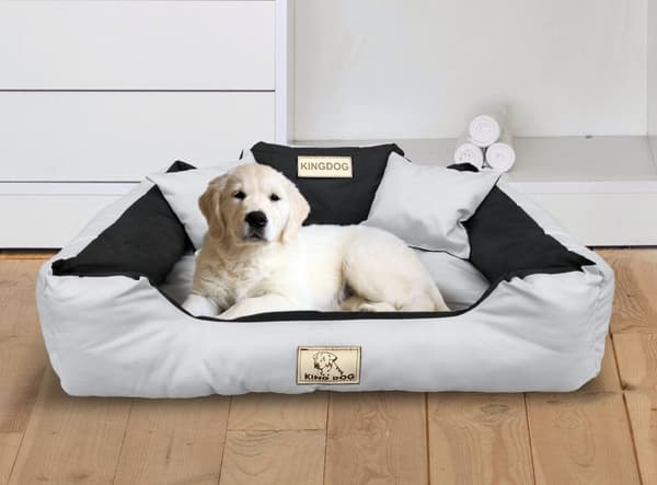 Koiran sänky KINGDOG 100x75 cm yksilöllinen vedenpitävä vaaleanharmaa