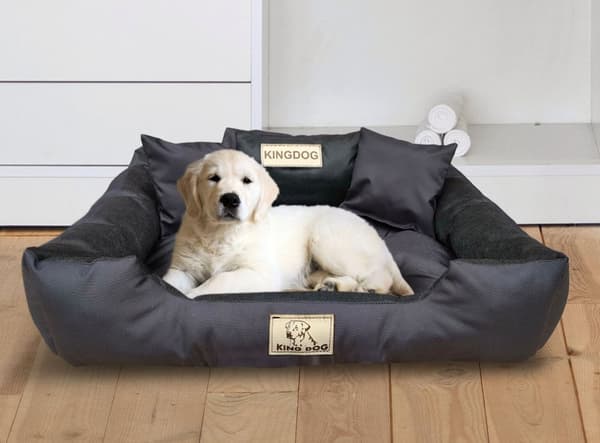 Hundeseng KINGDOG 115x95 cm personlig vandtæt sort