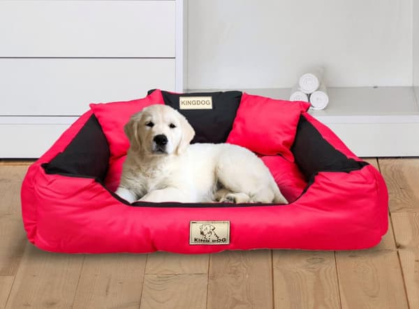 Koiran sänky KINGDOG 55x45 cm yksilöllinen vedenpitävä punainen