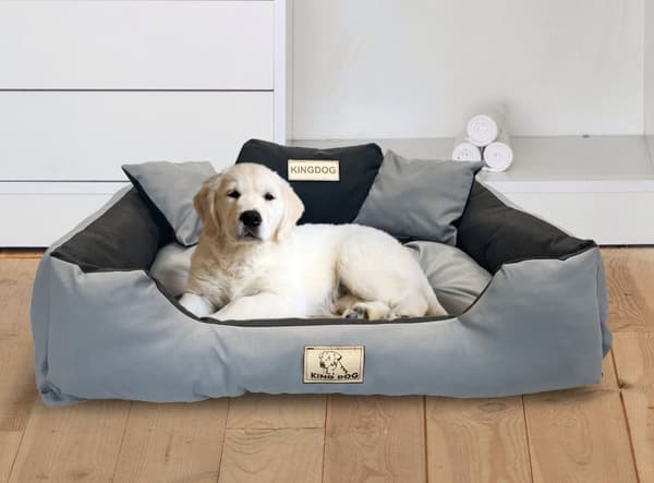 Hundeseng KINGDOG 55x45 cm personlig vandtæt mørkegrå