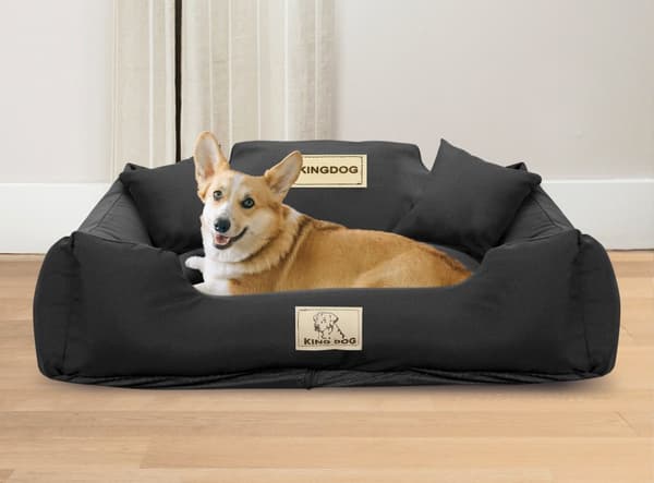 Koiran sänky KINGDOG MM43 100x75 cm persoonallinen irrotettava luistamaton musta