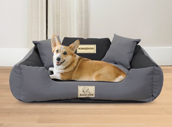 Koiran sänky KINGDOG MM43 75x65 cm persoonallinen irrotettava luistamaton tummanharmaa