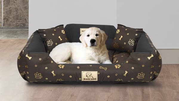 Hundeseng KINGDOG kennel 75x65 cm personlig vandtætte gyldne knogler