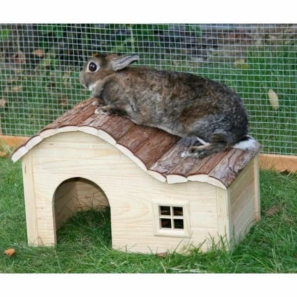 Hundeseng Kerbl Beige Træ