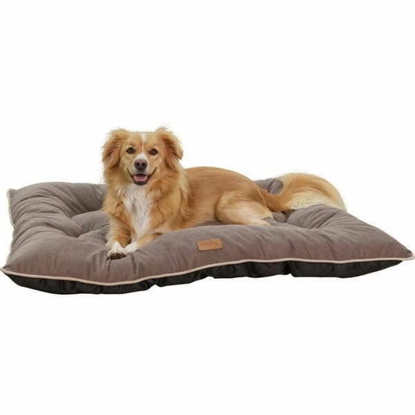 Hund Bed Kerbl Brun
