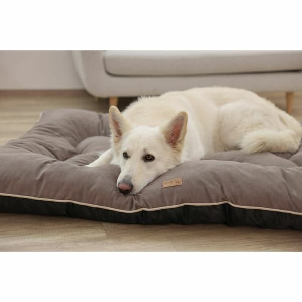 Hund Bed Kerbl Brun
