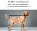 Miniatyrbild 6 av 8: HUND KATTSÄNGSOFFA 75x65 Dogs4life