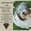 Miniatyrbild 10 av 11: HUND/KATTSÄNG 75X65 HÄNNA VATTENTÄT SKAL S