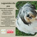 Pikkukuva 6 / 9: KOIRANPETTI KEN 135x100 JÄTTILAINEN VELVET