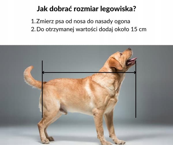 Hundsäng, lekhage, 135x100 SAMMET, JÄTTE RAS