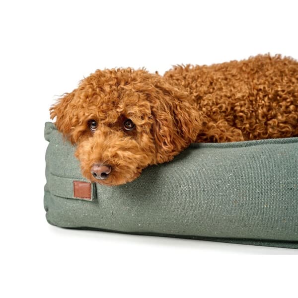 Hundeseng Hunter Belluno Grønn 80x60 cm