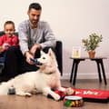 Miniatyrbillede 6 af 8: Hund Bed Marvel Multifarvet